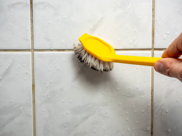 Best Mold Testing  in Mclendon Chisholm, TX