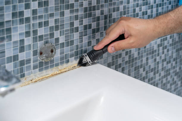 Best Mold Remediation  in Mclendon Chisholm, TX