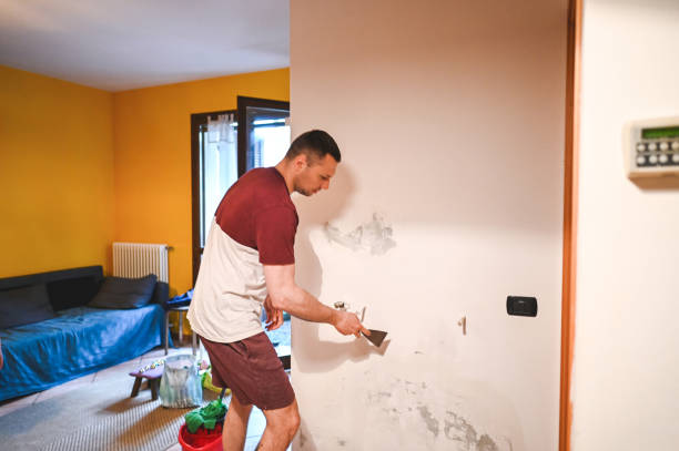 Best Home Mold Removal  in Mclendon Chisholm, TX